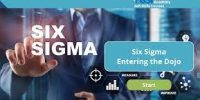 Six Sigma: Entering the Dojo